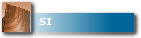 SI